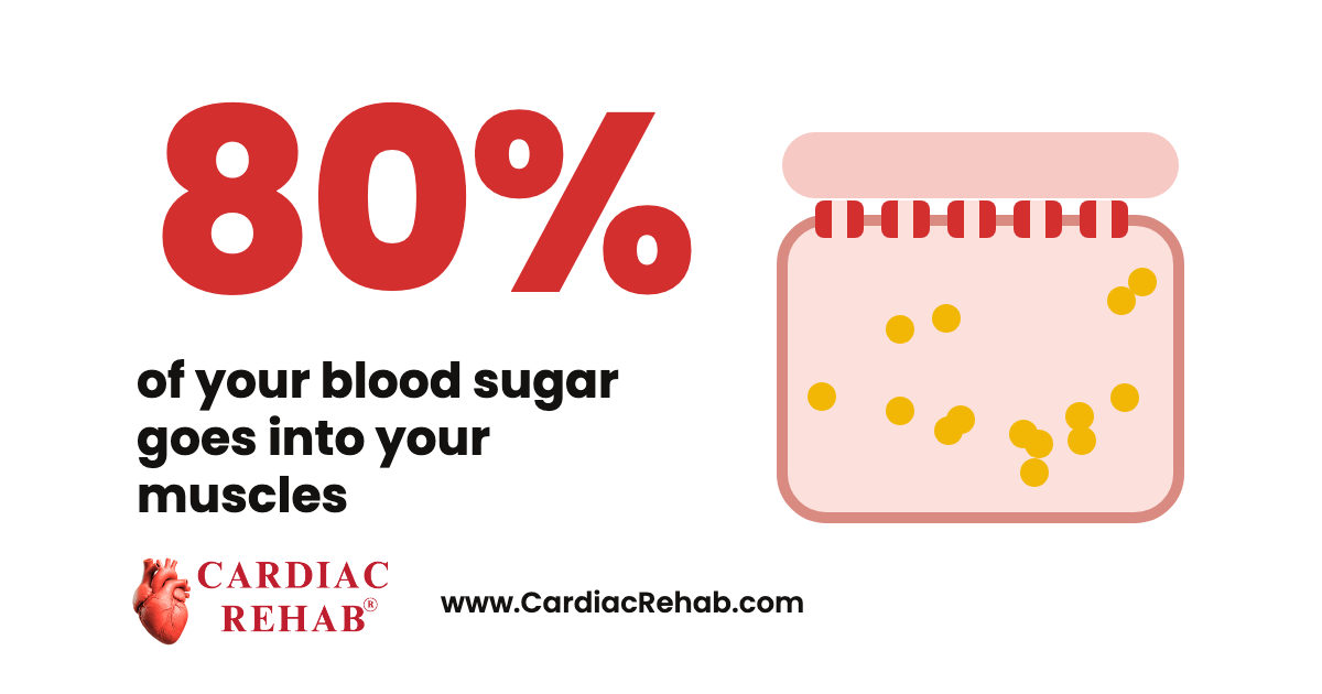 80% in large red letters with the words of your blood sugar goes into your muscles, beside a muscle cell with open sugar doors, and the Cardiac Rehab logo