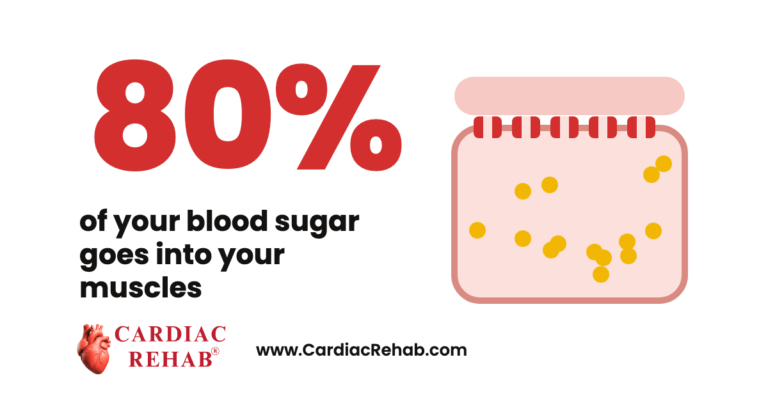 80% in large red letters with the words of your blood sugar goes into your muscles, beside a muscle cell with open sugar doors, and the Cardiac Rehab logo