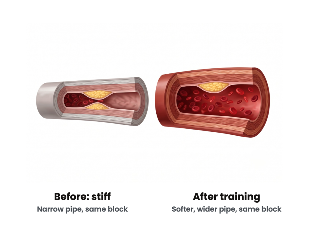 Two cut-open arteries with the same yellow block. Left, a narrow stiff grey pipe. Right, a softer, wider red pipe after training.