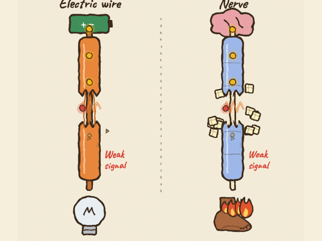 A wire with a break in its cover and a dark bulb, beside a nerve with a break in its cover, sugar cubes and a burning foot.